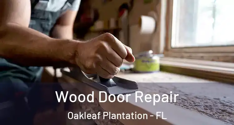  Wood Door Repair Oakleaf Plantation - FL